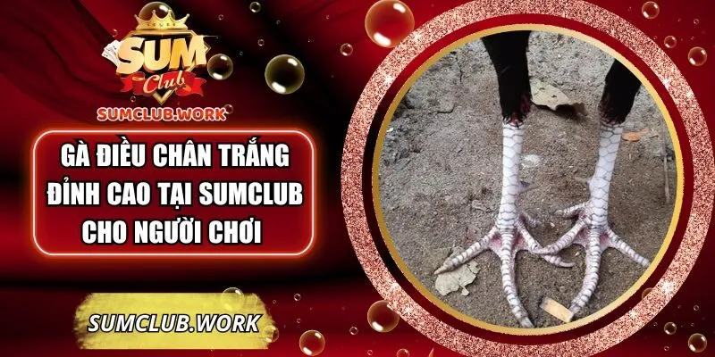 ga-dieu-chan-trang
